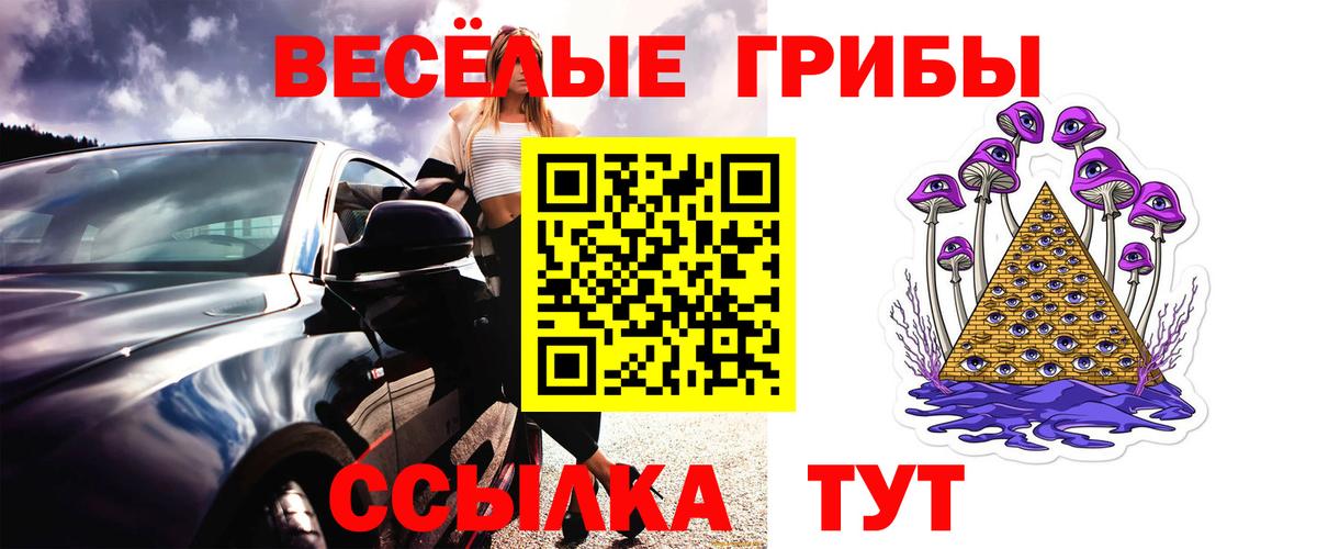 Псилоцибиновые грибы мухоморы Горячий Ключ